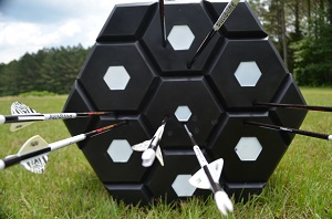 bow targets